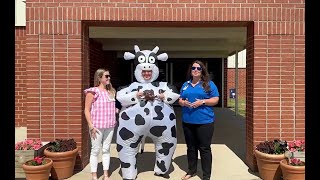 BESt Cow Patty Festival Promo [upl. by Greenberg480]