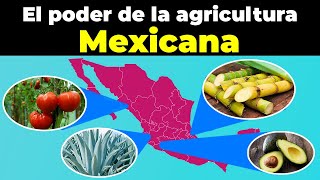 El poder de la agricultura de los 32 Estados Mexicanos [upl. by Adnouqal]