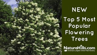 New Top 5 Most Popular Flowering Trees  NatureHillscom [upl. by Hoehne613]