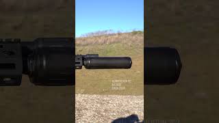 300blk Subsonic [upl. by Nehtiek]