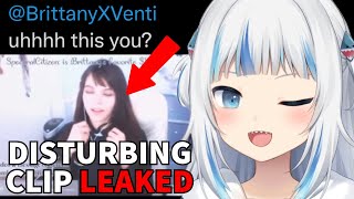 Brittany Venti Exposed After Slandering Gawr Gura AGAIN [upl. by Dibbrun]