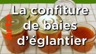 La confiture de baies déglantier  Karambolage  ARTE [upl. by Asselem730]