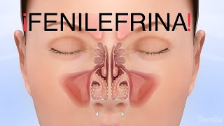 FENILEFRINA descongestivo nasal [upl. by Ellenet309]