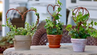 DIY Wire Topiaries for Houseplants ❤️🌿  Garden Answer [upl. by Lemyt]