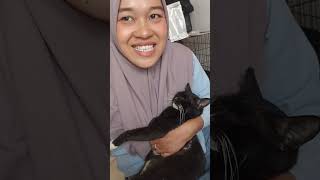 Pas beleki cat anakkucinglucuimutimut catlover [upl. by Fakieh]