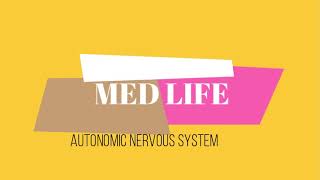 MNEMONICS OF ANTIMUSCARINIC DRUG CLASSIFICATION [upl. by Aday]