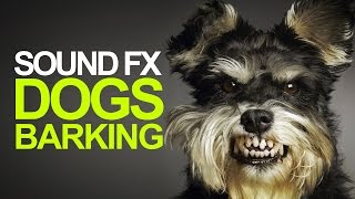 DOGS BARKING  Sound Effects High Quality [upl. by Lerret]