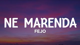 Fejo  Ne marenda lyrics [upl. by Clotilda]