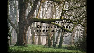 Maupassant  Contes du jour et de la nuit 1021 Une vendetta  Livre Audio [upl. by Ledda]