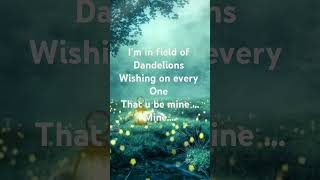 dandelion song lyrics [upl. by Ellesig]