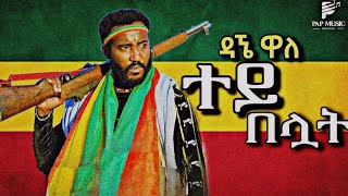 Dagne Walle Tay Beluat  ዳኘ ዋለ ተይ በሏት  New Ethiopian Music 2024 Official Video [upl. by Enohs579]