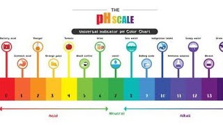 Acids Bsaes and salts Hydrogenionconcentration pHValue pH scale ☝️🙏🤳✍👍😇👩‍💻✍👏 [upl. by Reinar]