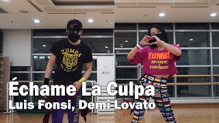 Echame La Culpa  Luis Fonsi Demi Lovato  Zumba  Choreography  Dance  Workout  WZS CREW [upl. by Elac]