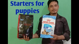 Puppy starter feeddrools starter dog foodroyal canin vs drools focus [upl. by Adien]