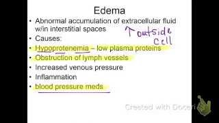 BY 202 water balance disorders [upl. by Nekciv]