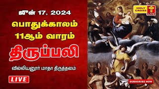 LIVE  Daily Holy Mass  17 June 2024  Villianur Lourdes Shrine  Holy Cross Tv  Daily Tv Mass [upl. by Ahsaek]