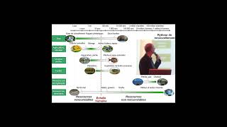 Les ressources renouvelables et non renouvelables la définition [upl. by Arratal]