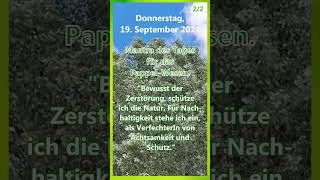 20240919 Seelenbotschaft  Tagesmantra  Pappel treefluencer körperseelegeist merikinbynature [upl. by Demott402]