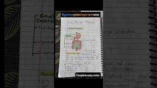 Digestive system anatomy and physiology hindi notes shorts digestivesystem notes anatomy [upl. by Akemal249]