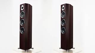 Sonus Faber Sonetto III  Wenge [upl. by Sivrahc]