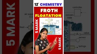 12th Chemistry Froth Flotation 5mark Quarterly Important Questions 2024 quarterlyexam [upl. by Aillicec802]