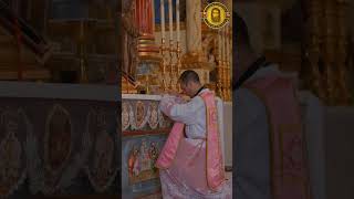 Holy Mass celebrated at the Altar of Most Holy Crowned Saint Joseph of Palmar [upl. by Lib]