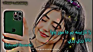 Zari Zari Zari  Pashto Shaista Music 🎶 🥹💔 Slow Reverb 2024 [upl. by Jemie]