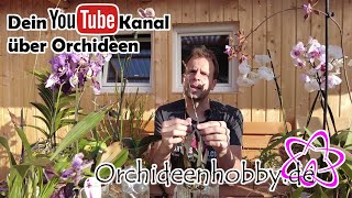 Die besten Tipps zum Schneiden von Orchideen [upl. by Ardien]