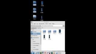 Drag and Drop Problem on Lubuntu 1304 [upl. by Euqina]