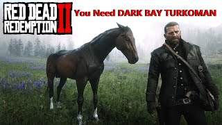 Dark Bay Turkoman Cerberus Get It Early amp Free Red Dead Redemption 2 BestHorses RDR2 [upl. by Dupre]