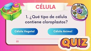 🦠🌱 célula vegetal o animal 🧬¿Cuánto sabes de la célula vegetal y animal 🎯 quiz test examen UNAM 📝 [upl. by Joash]