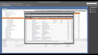 Tutorial Datanorm Kataloge importieren in der Lexware Warenwirtschaft 2013 [upl. by Redfield]