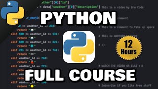 Python Full Course for free 🐍 2024 [upl. by Zebedee]