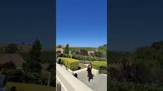 Napa winery Domaine Carneros [upl. by Puto336]