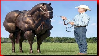 🤯 दुनिया के 3 सबसे ताकतवर घोड़े 🐎 3 Most Powerful Horses In the World 😱🤯 shorts [upl. by Doley]