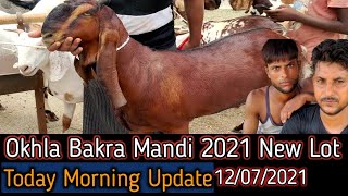 Okhla Dhobi Ghat Bakra Mandi 2021  Delhi Bakra Mandi 2021  Batla House Bakra Mandi 2021 [upl. by Oribelle219]