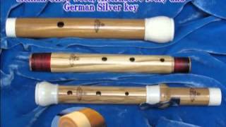 J Scherer Traverso Flute Sound Clip Solo Sonata bwv1013 [upl. by Ignatius899]