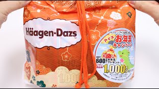 HaagenDazs Ice Cream Lucky Bag Unboxing [upl. by Backer988]