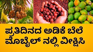 Today arecanut price Shivamogga arecunut price shivamogga APMC arecunut price [upl. by Karla44]