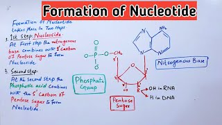 Formation of Nucleotide and Nucleoside Biochemistry Lectures  Jiyas Biology Tutorials [upl. by Aeel]