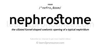 Pronunciation of Nephrostome  Definition of Nephrostome [upl. by Eladnek]