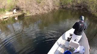 Catching 100 Crappie at Frank G Bonelli Puddingstone [upl. by Buck]