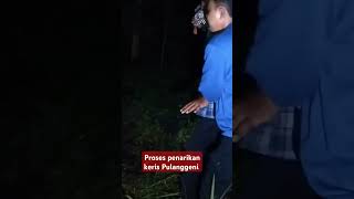 Proses penarikan pusaka keris Pulanggeni penarikankeris kerisleluhur bendapusaka banyumas [upl. by Oliver]