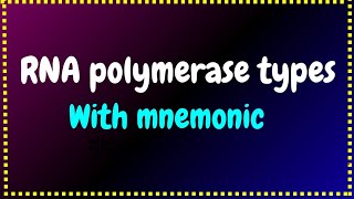 RNA POLYMERASE TYPES in eukaryotes and prokaryotes [upl. by Ardien]