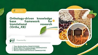 Development of a knowledge graph framework to ease translational approaches in plant research  K3 [upl. by Kelula]