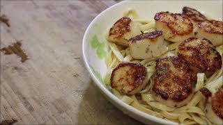 Lemon Butter Scallops Fettuccine [upl. by Eked]