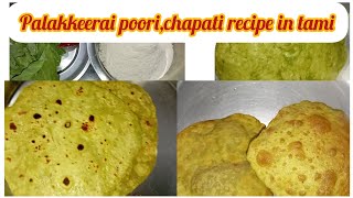 palakkeerai poori chapati recipe in tamil  பாலக்கீரை பூரி சப்பாத்தி sutharsanalifestyle308 [upl. by Aicilegna233]