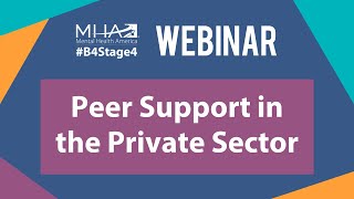 WEBINAR Peer Support in the Private Sector Careers in Private Practice [upl. by Cavan]