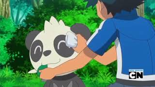 Pancham Pokédex Entry [upl. by Eisler]