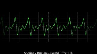 😴 Snoring Sound Effect  Russare Effetto Sonoro HD 💤 [upl. by Aihsakal697]